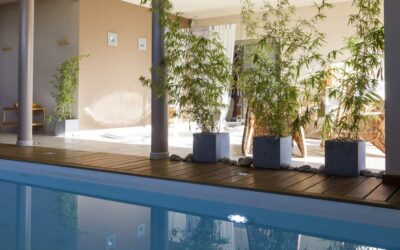 LES NOUVEAUX CONTRATS D&rsquo;ENTRETIEN DE PISCINE À DÉCOUVRIR